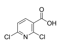 2,6-二<em>氯</em>吡啶-3-羧酸，98%