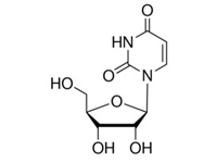 <em>藥用</em>尿苷